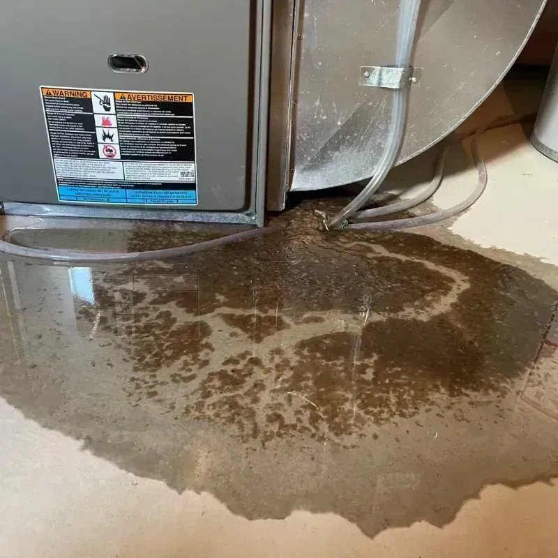 Appliance Leak Cleanup in Keystone, CO